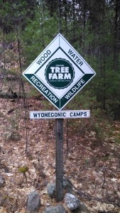 Tree Sign